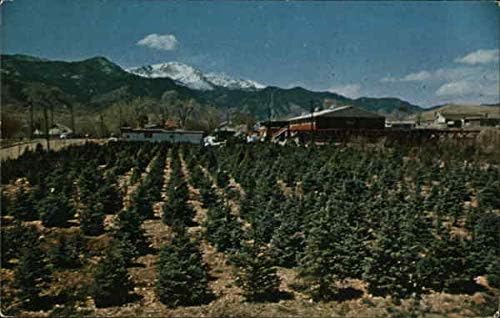 ריק המדינה פינה קולורדו ספרינגס, קולורדו שיתוף המקורי גלוית וינטג