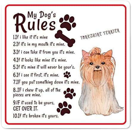 מצחיק כלב מתכת פח סימן שלט שלי כלב של כללים לחיות מחמד כלב דלת קולב עם מצחיק כלב ציטוט רטרו מתכת אמנות במצוקה