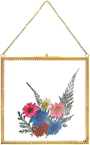 Tlbtek זהב 8x8 אינץ 'פליז תלויה מסגרת תמונה, מסגרת זכוכית כפולה לפרחים לחוצים, צלול DIY יצירות אמנות תצוגה מסגרת